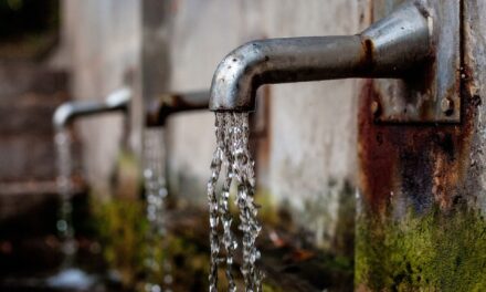 LA DISPONIBILIDAD Y ACCESO AL AGUA EN ARGENTINA