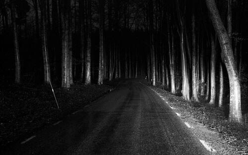 Cuento fantástico: «Bosque»